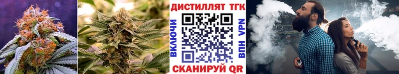 купить цена Грозный ТГК концентрат