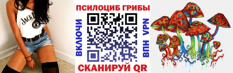 Псилоцибиновые грибы прущие грибы  продажа наркотиков  дарк нет клад  Грозный 